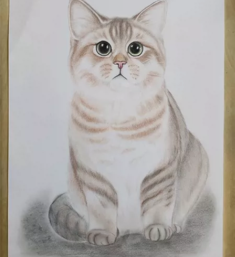 手绘猫咪彩铅画,8开,3张包邮 感兴趣的话...