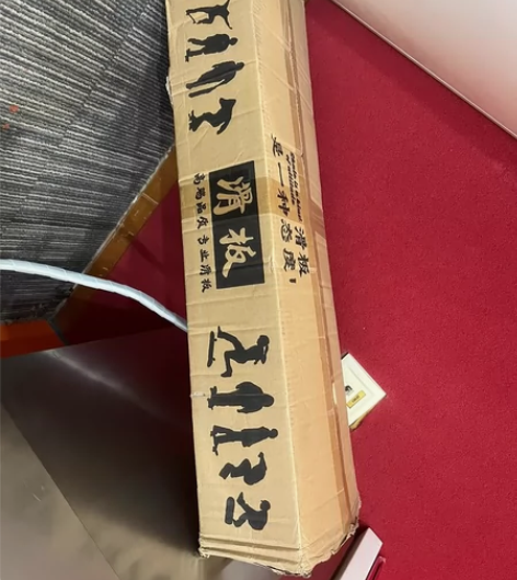 驰远滑板初学者儿童男女生10成人运动8专业...