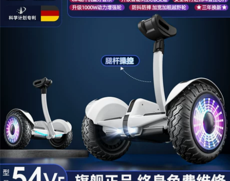 德国ZOLA官方旗舰店2023新款平衡车智...