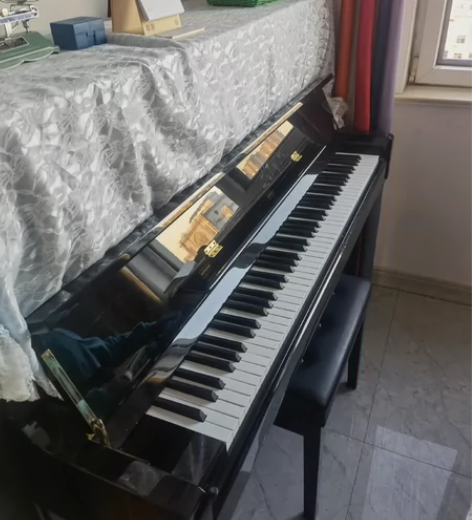 海伦钢琴HL123A,提供节拍器 购于20...
