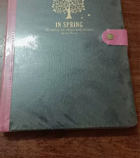 实用好看的本子 春天里拼接皮扣本 全新1...