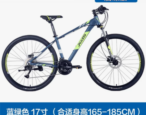 喜德盛山地自行车旭日600PRO油压碟刹禧...