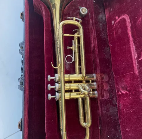 30年老古董,全铜小号,800自提 感兴趣...