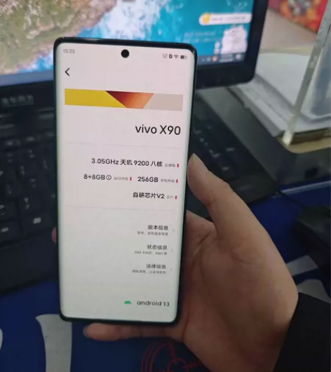 vivo X90 8+256G内存外观成色...