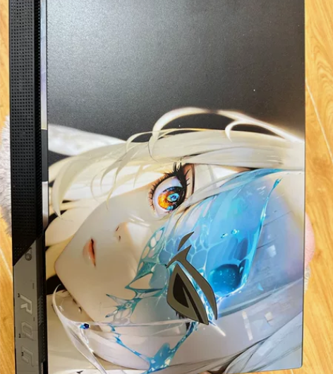 Rog 枪神6plus 12900h rt...