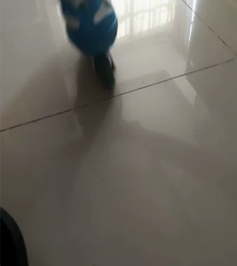 带去学了不到5次,小孩不愿意学,只能转让有...