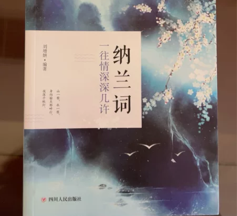 正版包邮,共2本,9成新 纳兰词,人间词话...
