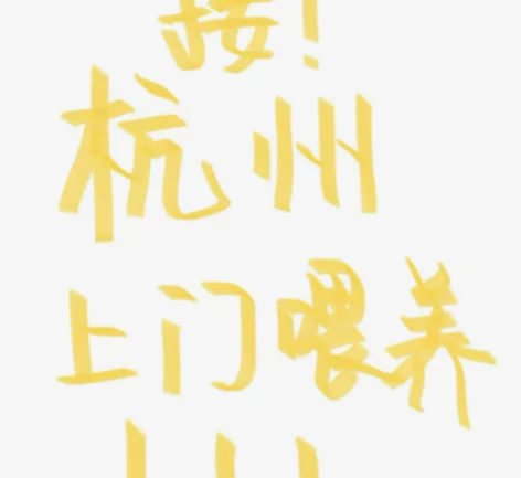 杭州西湖区 转塘街道,承接上门喂猫 铲屎 ...