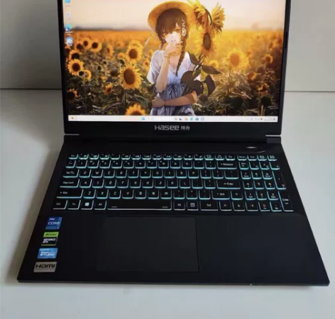 神舟战神Z8D6 15.6寸 2.5K 1...