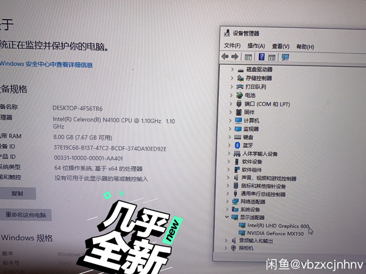 小麦6a