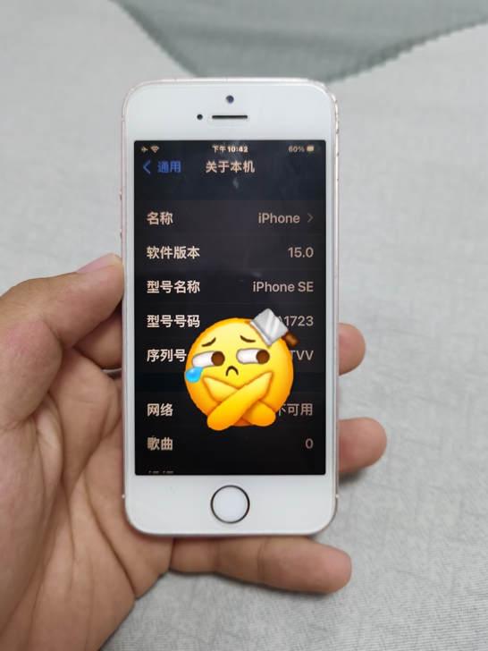 品牌型号 iPhone se
