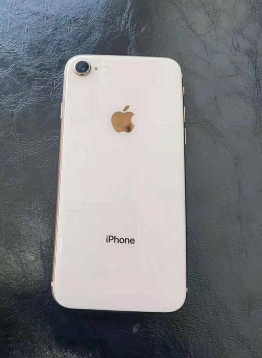 256G闲置iPhone8带指纹、功能全好...