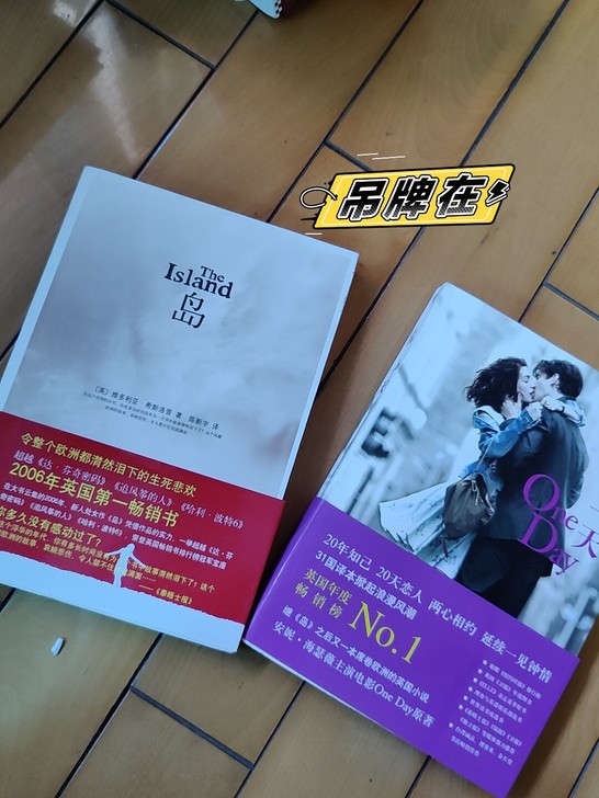 搬家出售旧书，《岛》《一天》，均为欧洲年度...
