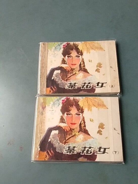 茶花女，一版一印。80年代书籍。
