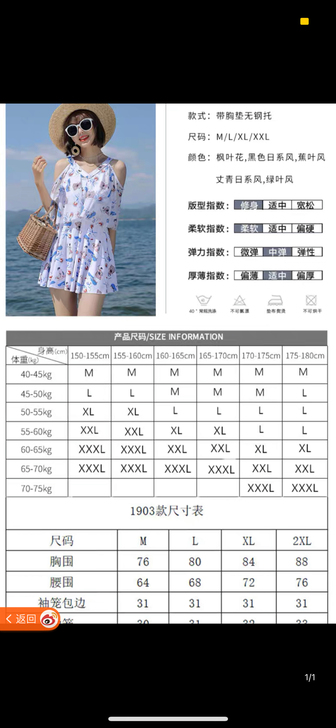 全新泳衣未洗 有吊牌  L 尺码买大了