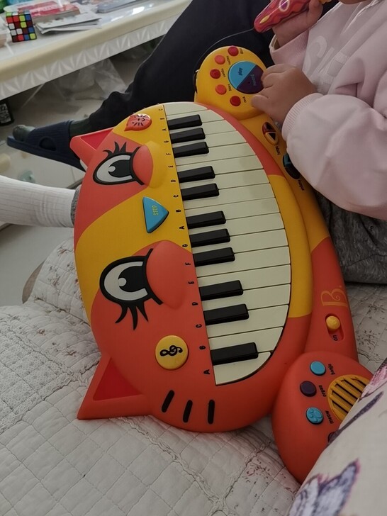 B.猫琴电子琴玩具，音质特别好。这个闲置很...