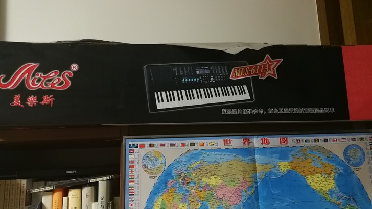 美乐斯电子琴，没怎么玩过。事多的慎拍8.5...