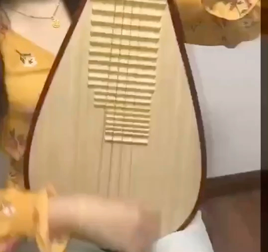 捡漏琵琶转，几乎全新，精品花梨木整背，原木...