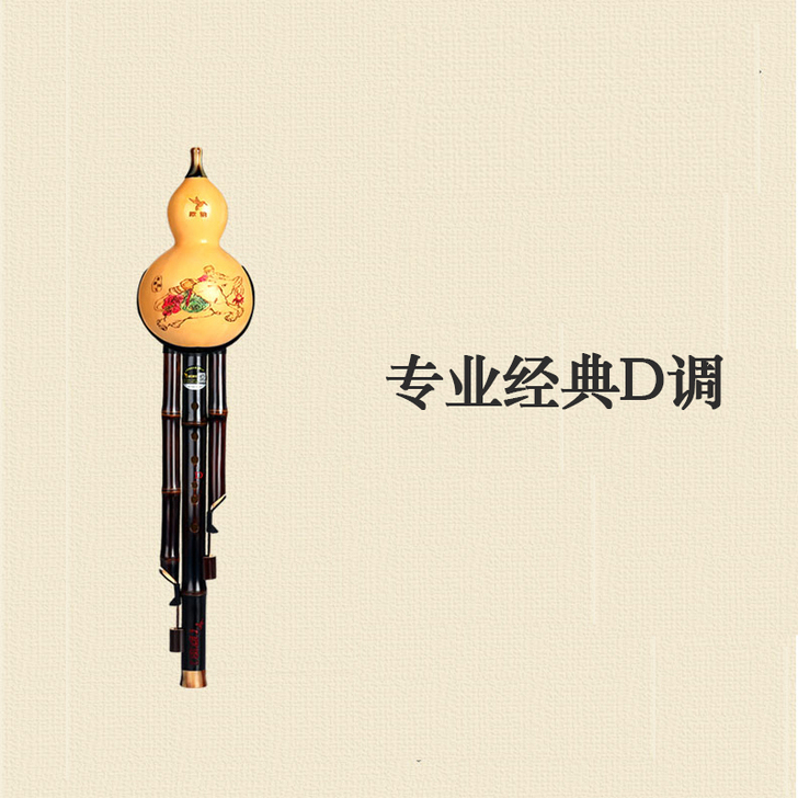 【狂欢价】葫芦丝乐器初学c调降b调dgf专...