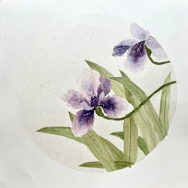 国画。鸢尾花。装饰画