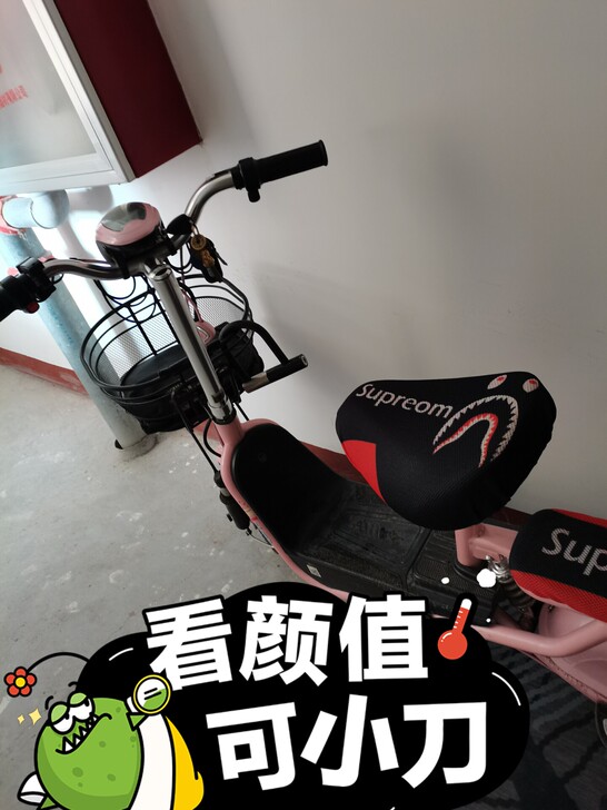 爱玛电动车 锂电池 可以给手机充电的电动...