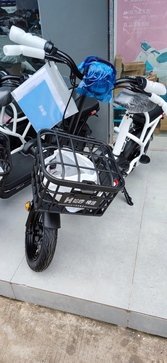哈啰电动车 全新48V12A