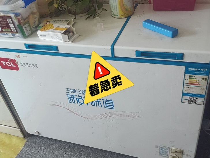 冷冻。冷藏冰柜，因搬家便宜卖了，258元