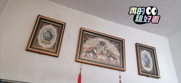 家里装修剩下的画，挺大的，两个小象的那幅背...