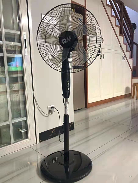 超市倒闭，处理20台骆驼落地扇  台扇