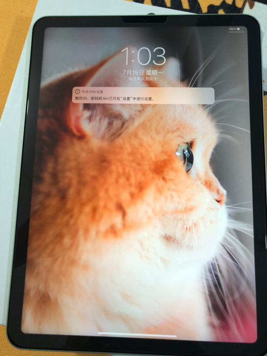 iPad air4 2020 WiFi版 ...