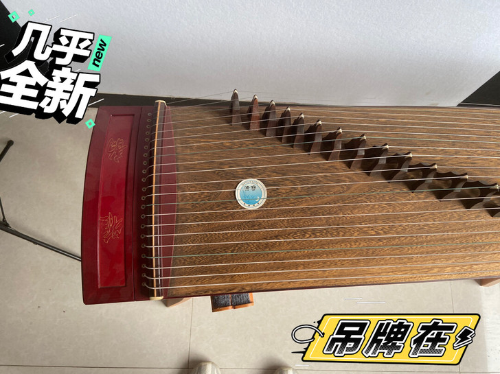 雅韵古筝买来一直吃土9新