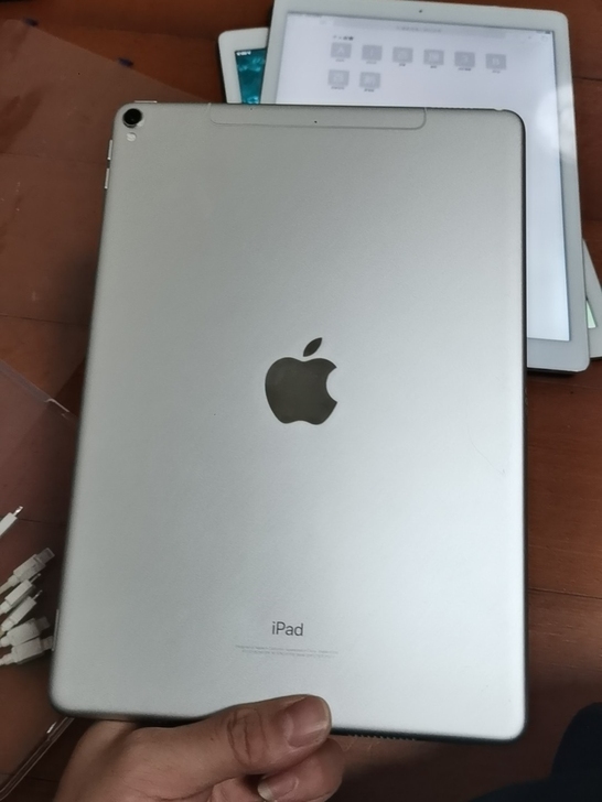 个人自用二手99新iPad迷你5代256G...