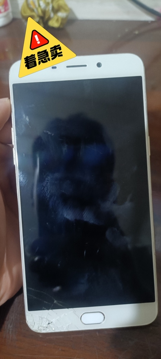 出一台oppo R9sPlus,4+64G...