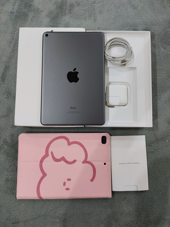 iPad mini5 2019款 国行过保...