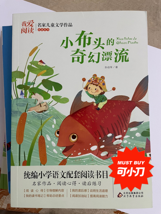 小布头的奇幻漂流 我爱阅读 名家儿童文学作...