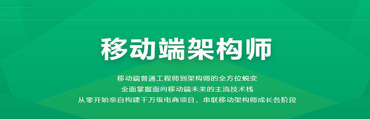 最新移动端架构师体系带源码