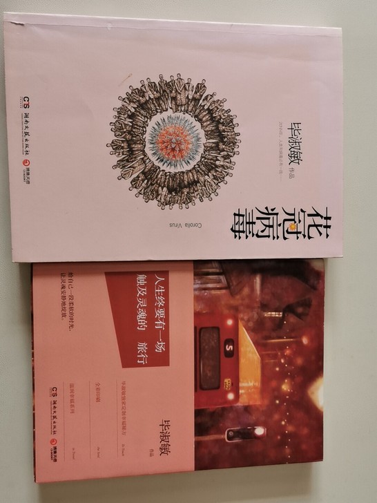 毕淑敏图书,两本分别是:人生终要有一场触及...