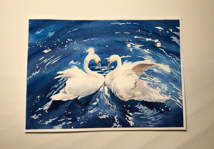 纯手绘水彩画，水彩作品，水彩天鹅，情人节礼...