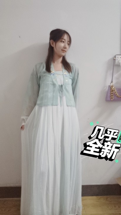 汉服全新带吊牌两件套裙子雪纺仅试穿均码