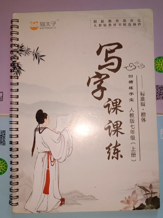 猫太子凹槽练字宝/写字课课练