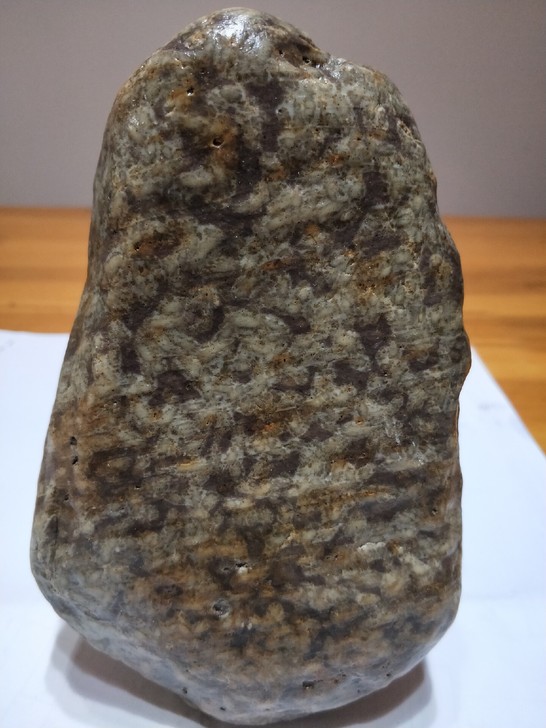 武夷山化石小摆件,图案精美,表面光滑,型好...