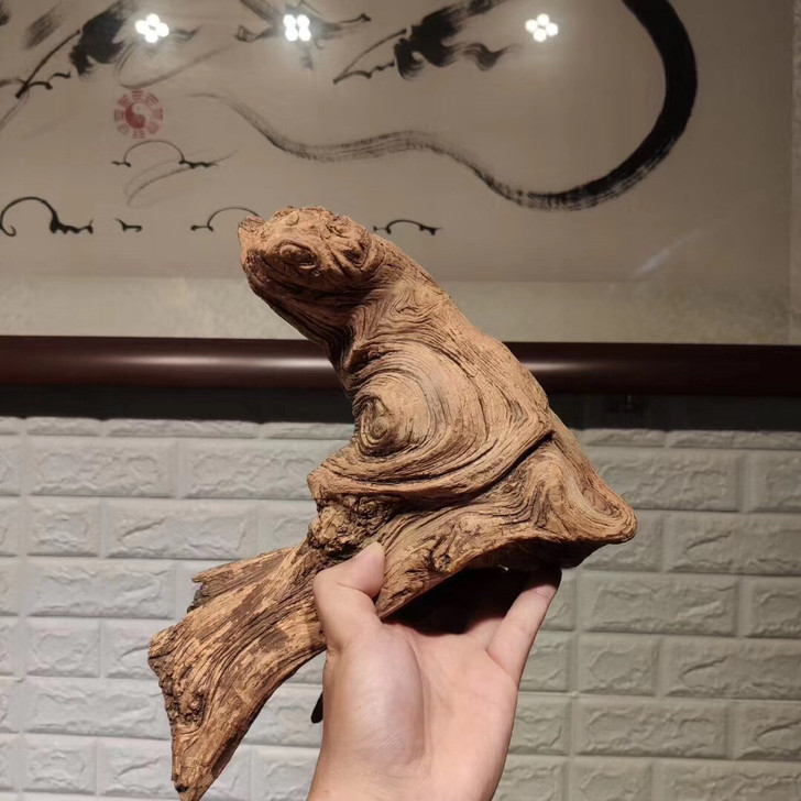 崖柏 精品崖柏完整纹理坨  纹理细腻 天然...