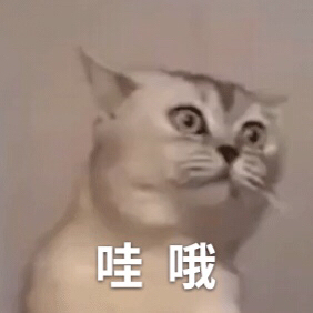 防挂失链接