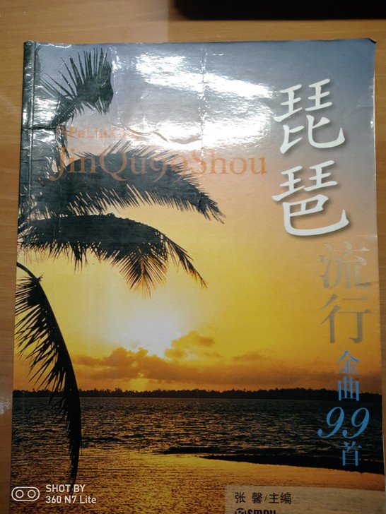 琵琶流行金曲99首 20写有两字(有琵...