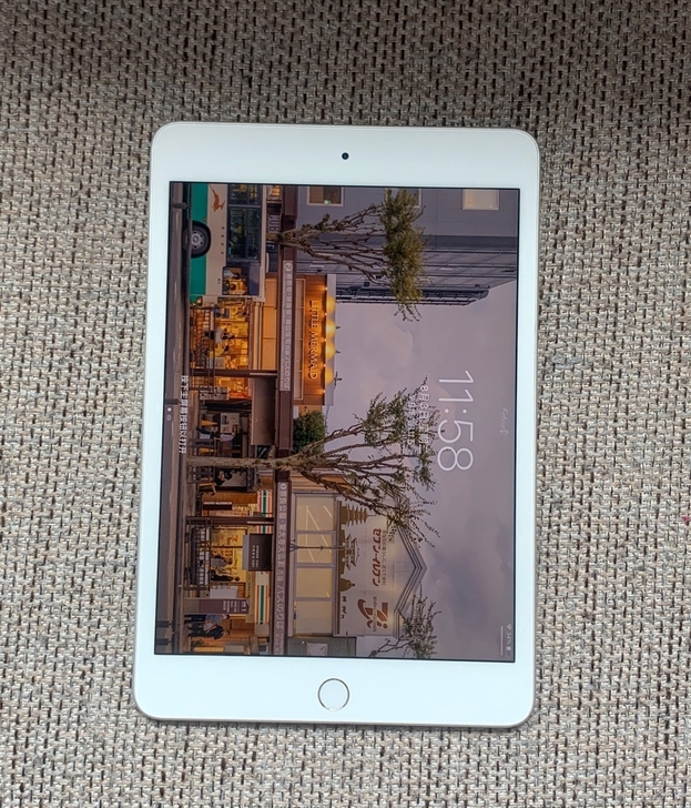 iPad mini5 64g 九五新 九新...