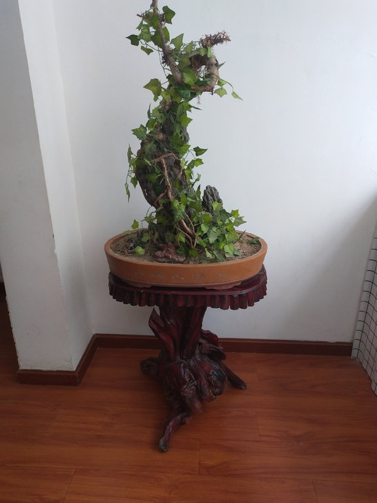 闲置根雕花架+盆景,需要的530元搬走!可...