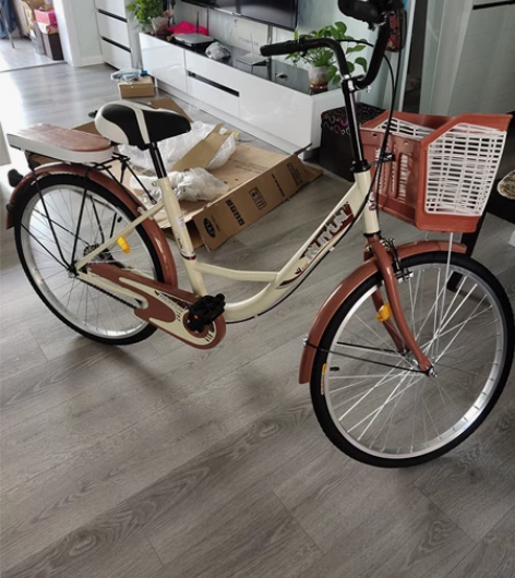 #节后鱼生#全新未拆封#全新非二手自行车成...