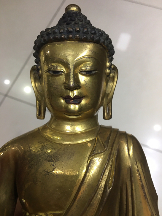 可以私聊，要细图，
