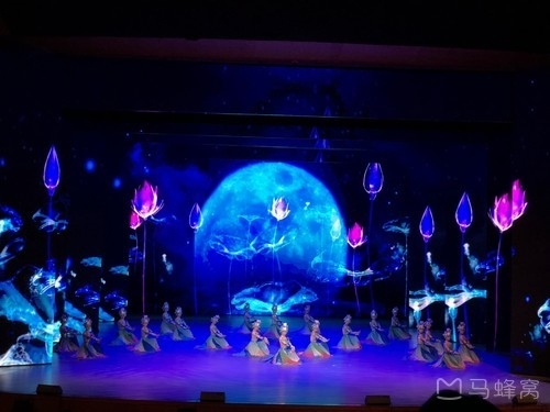 多彩贵州风演出门票