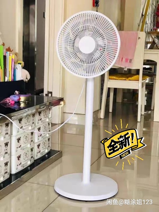 识货的来,全新家用长虹电风扇落地扇处理了